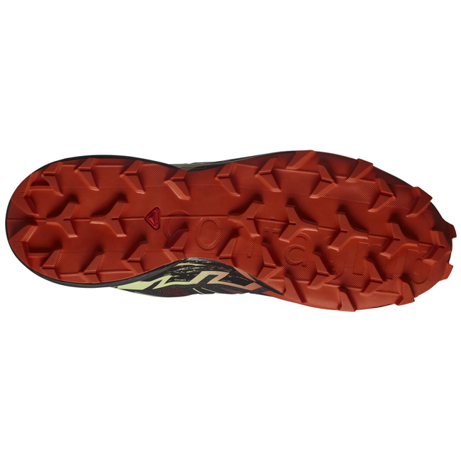 Salomon Men's Speedcross 6