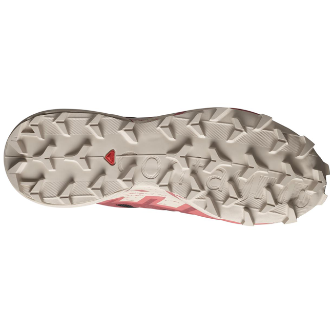 Salomon Women's Speedcross 6 GTX