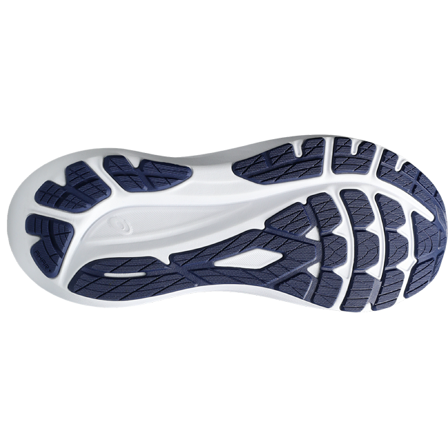 Asics Men's GT-2000 v13