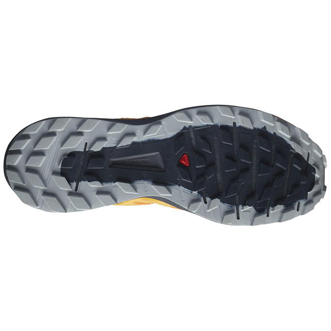 Salomon Men's Sense Ride 4