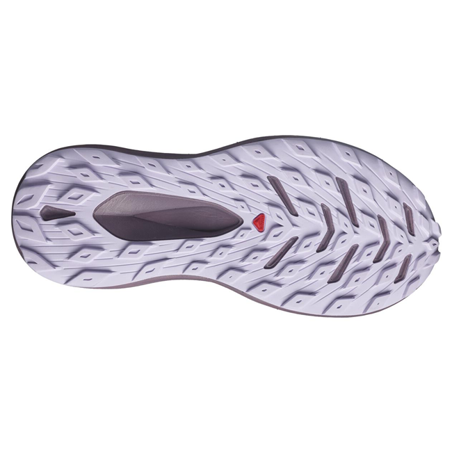 Sense 2025 max salomon