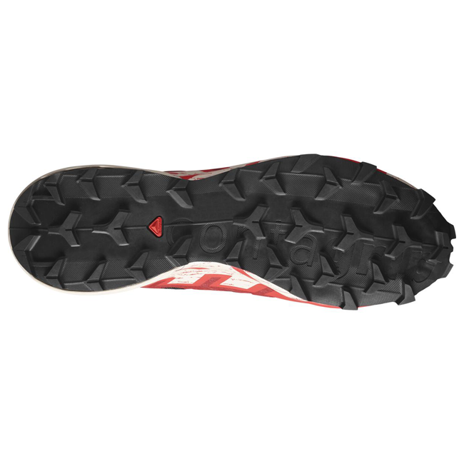 Salomon Men's Speedcross 6 GTX