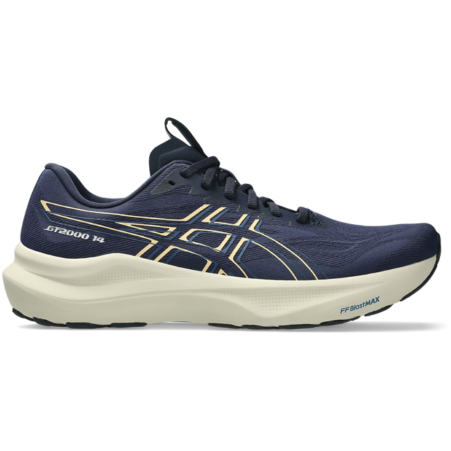 Asics Men's GT-2000 v14