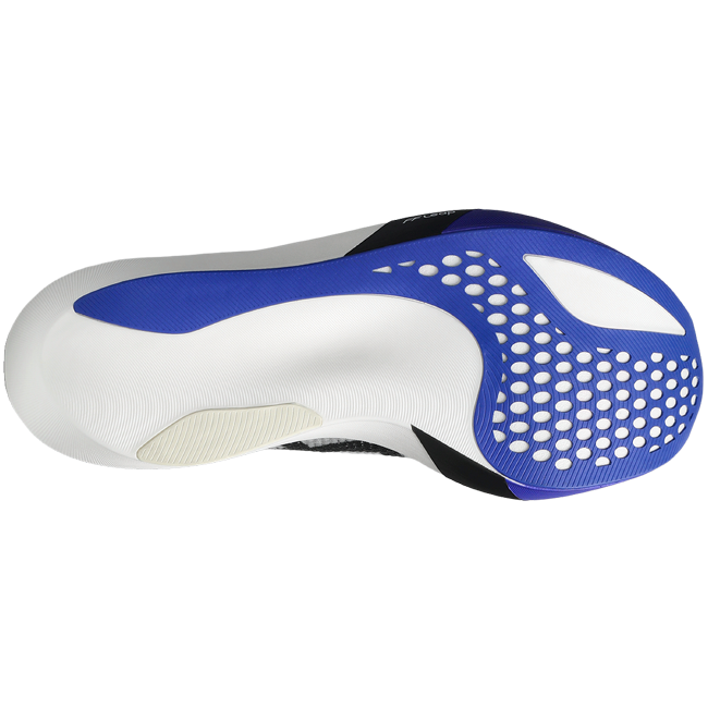 Asics Metaspeed Sky Tokyo (Unisex)