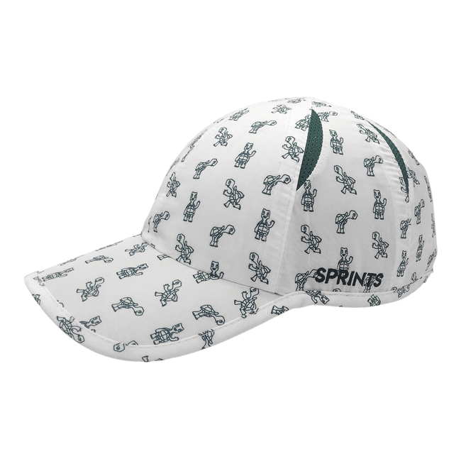 Sprints OG Hat - Turtles