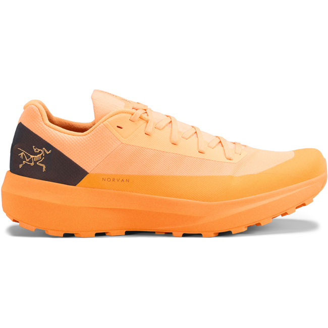 Arcteryx Men's Norvan LD 4