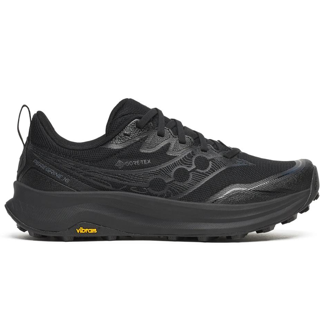 Saucony Women's Peregrine 16 GTX