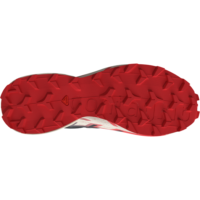 Salomon Men's Speedcross 6