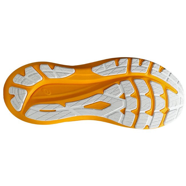 Asics Men's GT-2000 v13