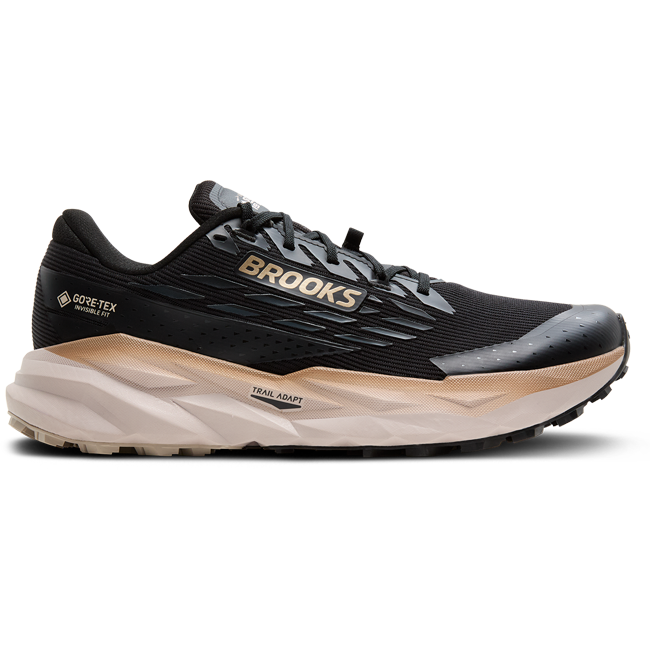 Brooks Men's Cascadia 19 GTX