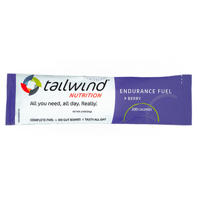 Tailwind Endurance Singles (54g)